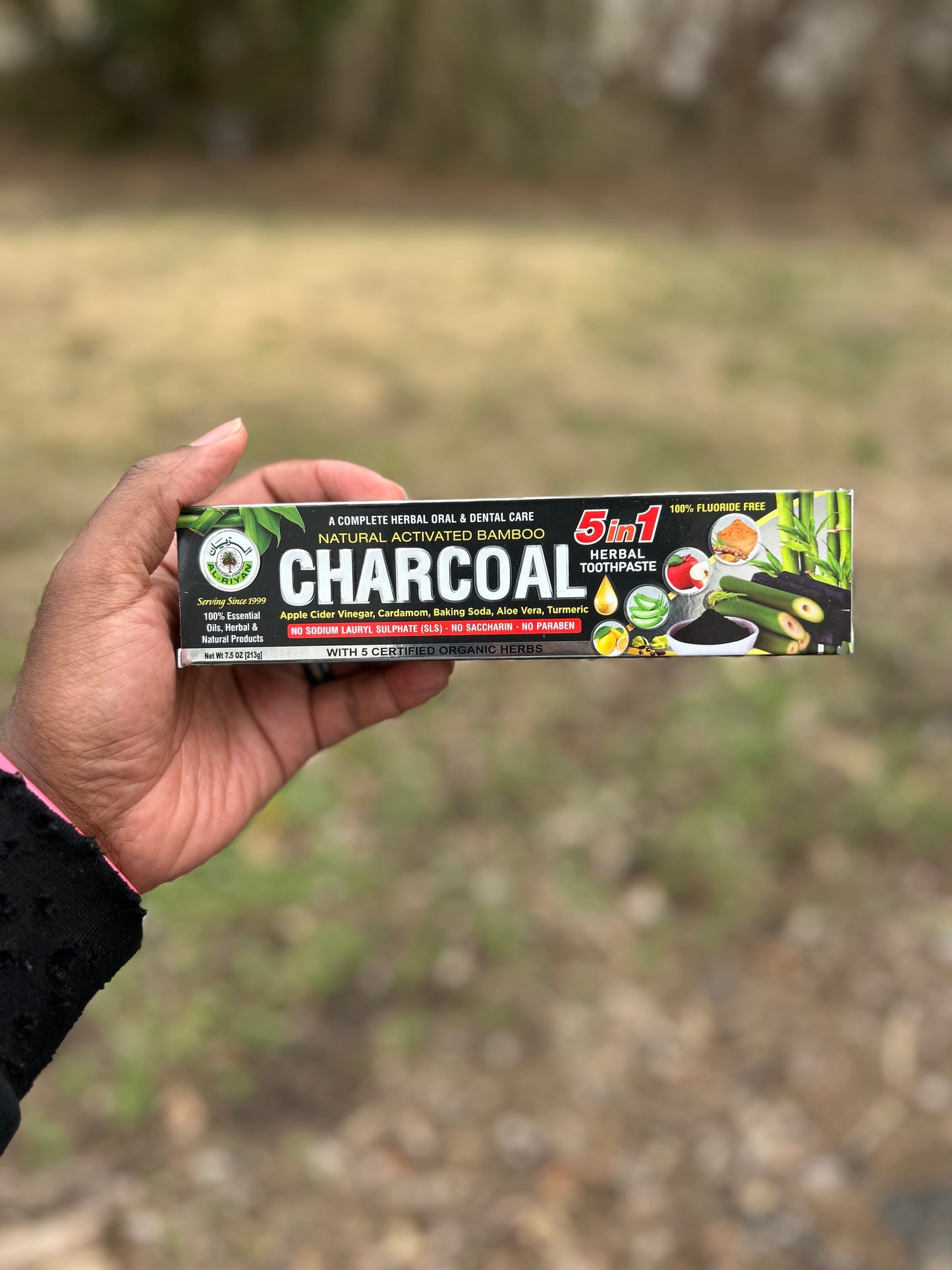 All Natural Charcoal Toothpaste